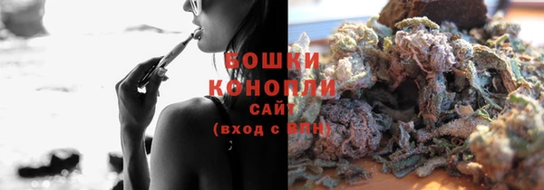 сатива Баксан