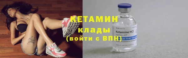 сатива Баксан
